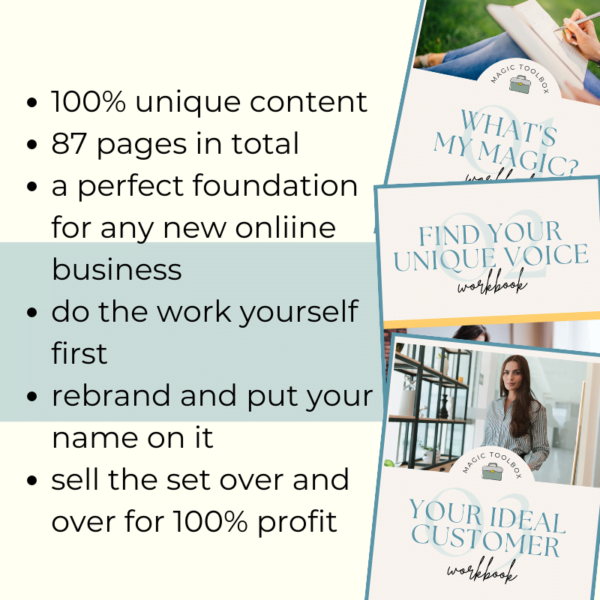 set of three persona branding workbooks 100% unique content with PLR licence